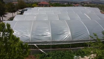 Kurduğu 6 serada çilek üreten çiftçi yöre halkına da örnek oldu