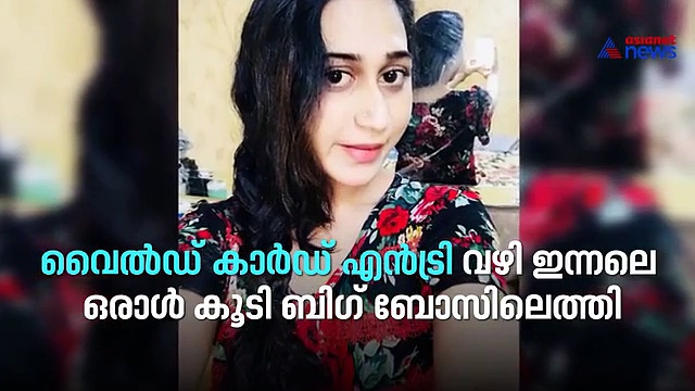 ബിഗ് ബോസിലെ അഞ്ജലി അമീർ ആരാണ്?