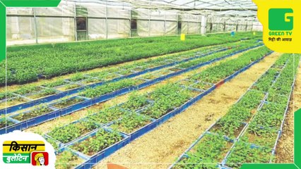 किसानों व पशुपालकों को IMD की सलाह -  बदलते मौसम की रफ्तार देखकर IMD ने जारी किया अलर्ट | Green TV | Agri News Bulletin