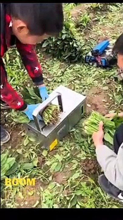Good innovations in agriculture that increase production