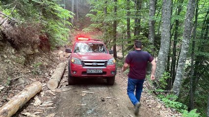 Üzerine ağaç düşen kişi kurtarıldı
