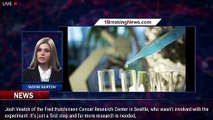 New genetic experiment was found to shrink woman's pancreatic cancer - 1breakingnews.com