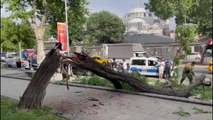 Beyoğlu'nda bir ağacın devrilmesi sonucu 3 kişi yaralandı