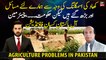 "Fertilizers Smuggling has increased problems but Govt...", Chairman All Pakistan Kisan Foundation