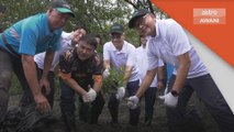 Alam Sekitar | Sasar tanam sejuta pokok bakau