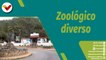 Punto Verde | Conozca la variedad de especies que albergan en el Zoológico Chorro la Milla