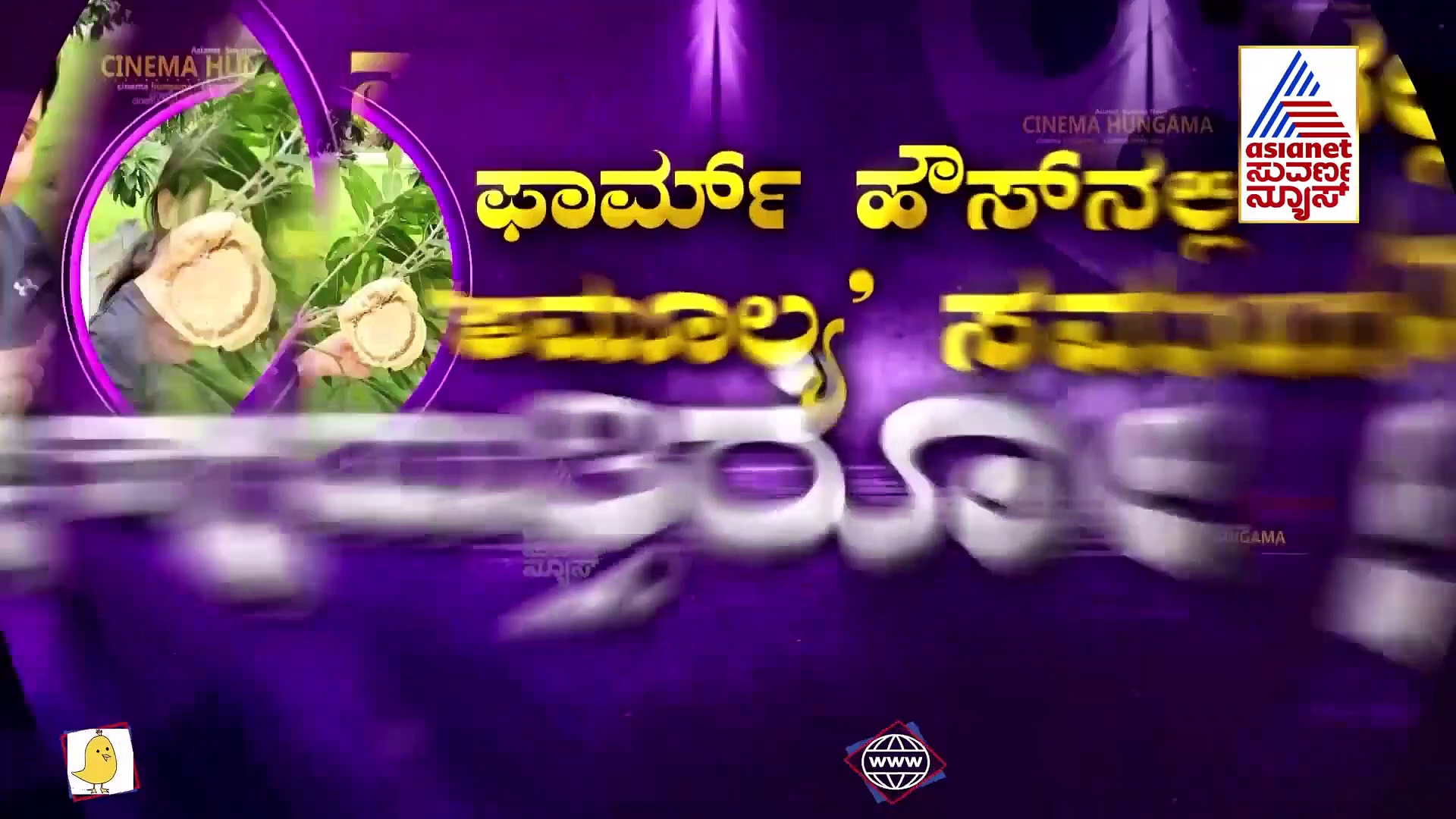 ವೈರಲ್ ವಿಡಿಯೋ: ಫಾರ್ಮ್‌ಹೌಸ್‌ ಮಾವಿನ ಮರ ಹತ್ತಿದ ನಟಿ ಅಮೂಲ್ಯ !