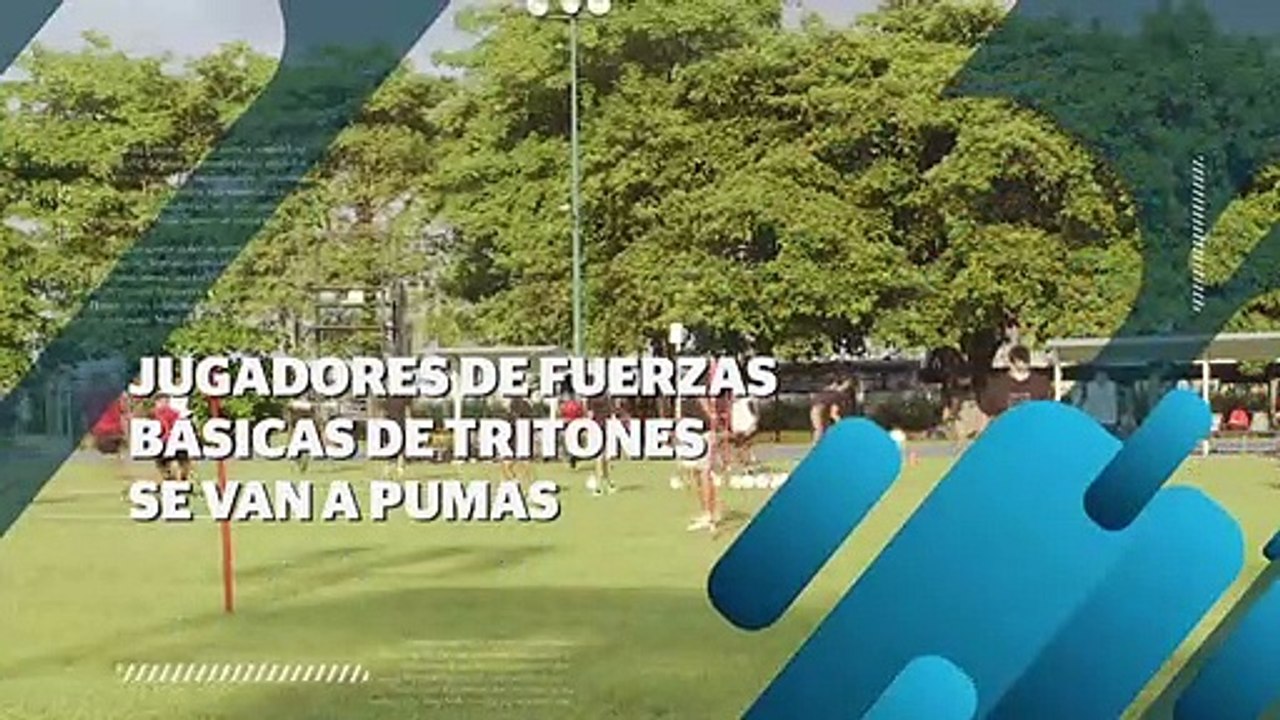 Integrantes de Tritones Vallarta MFC se van a Pumas | CPS Noticias Puerto Vallarta