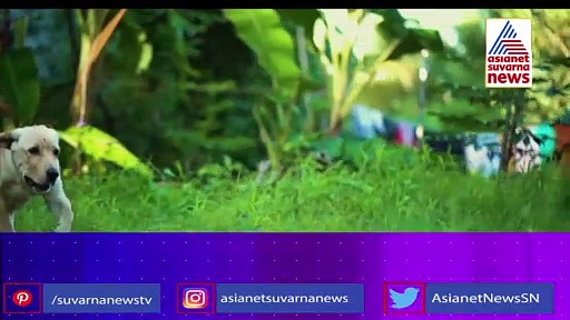 'ವಿಕ್ರಾಂತ್ ರೋಣ' ಸಿನಿಮಾ ಬಗ್ಗೆ ಇಲ್ಲಿದೆ ಸ್ಪೇಷಲ್ ಅಪ್ಡೇಟ್!