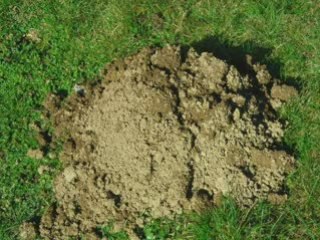 Notre semaine à NOUS