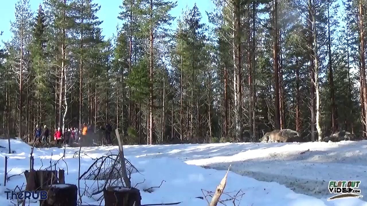 WRC TRIBUTE  Maximum Attack, On the Limit, Crashes & Best Moments