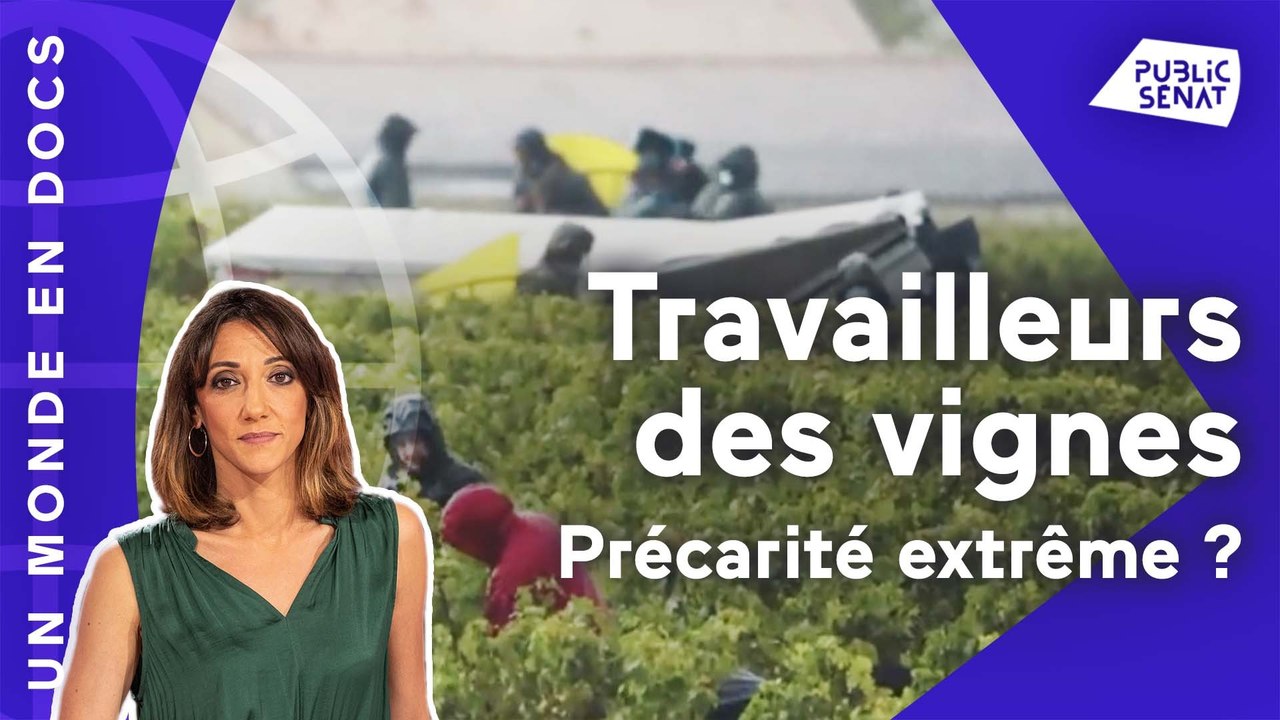 Travailleurs des vignes : précarité extrême