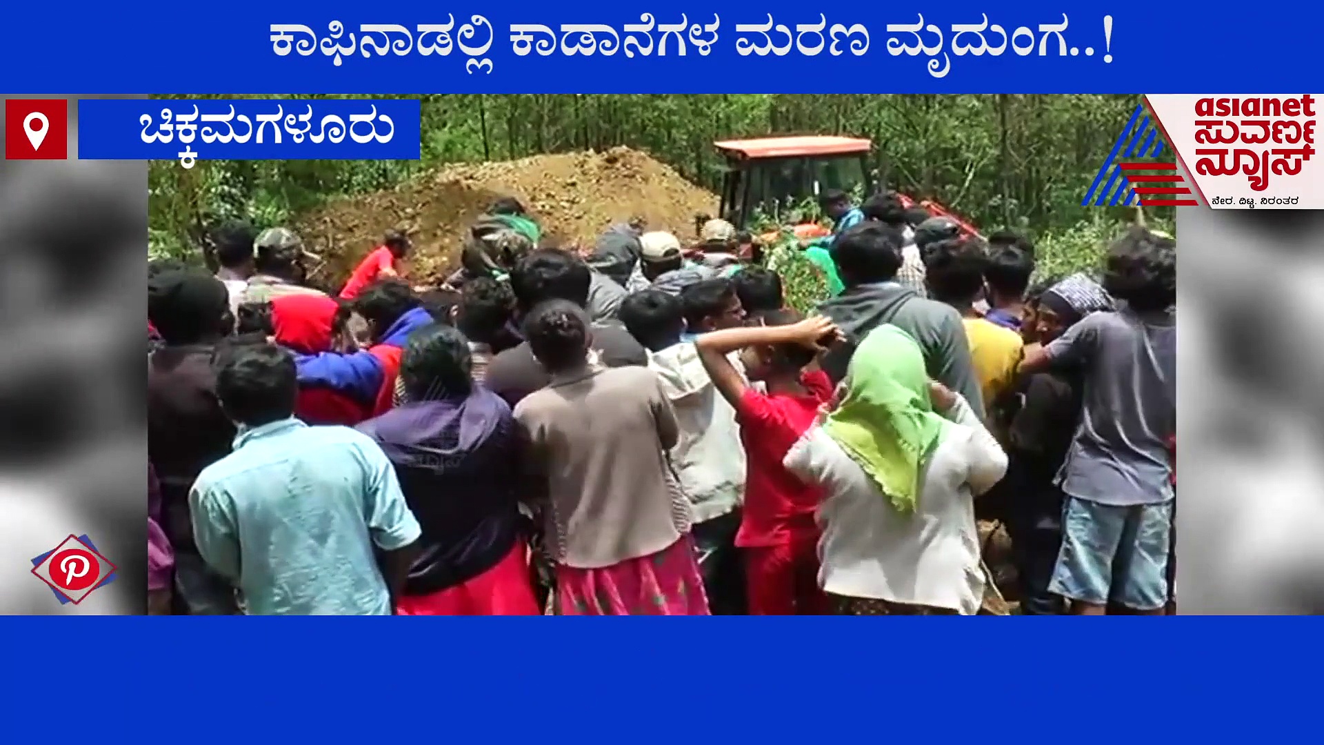 ಚಿಕ್ಕಮಗಳೂರು: ವಿದ್ಯುತ್ ಬೇಲಿ ತಗುಲಿ ಕಾಡಾನೆ ಸಾವು