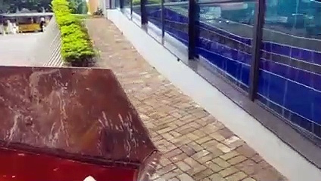 Vídeo: Confira o andamento da reforma da Catedral Nossa Senhora Aparecida