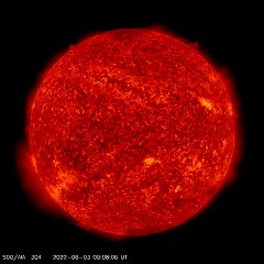 Fire Loops on The Sun