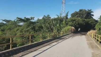 Bebé recién nacida habría sido lanzada de un puente por su propia mamá