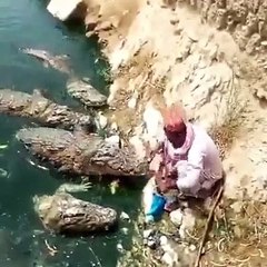 Relationship between  Human and  Crocodile