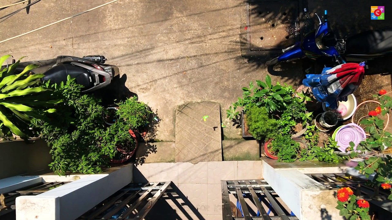 AMAZING THINGS TO DO WHEN BORED AT HOME