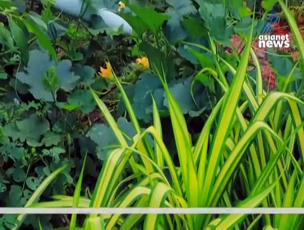 3800 സ്ക്വയർഫീറ്റിൽ  കൊളോണിയൽ ശൈലിയിൽ അണിയിച്ചൊരുക്കിയ സ്വപ്നഭവനം