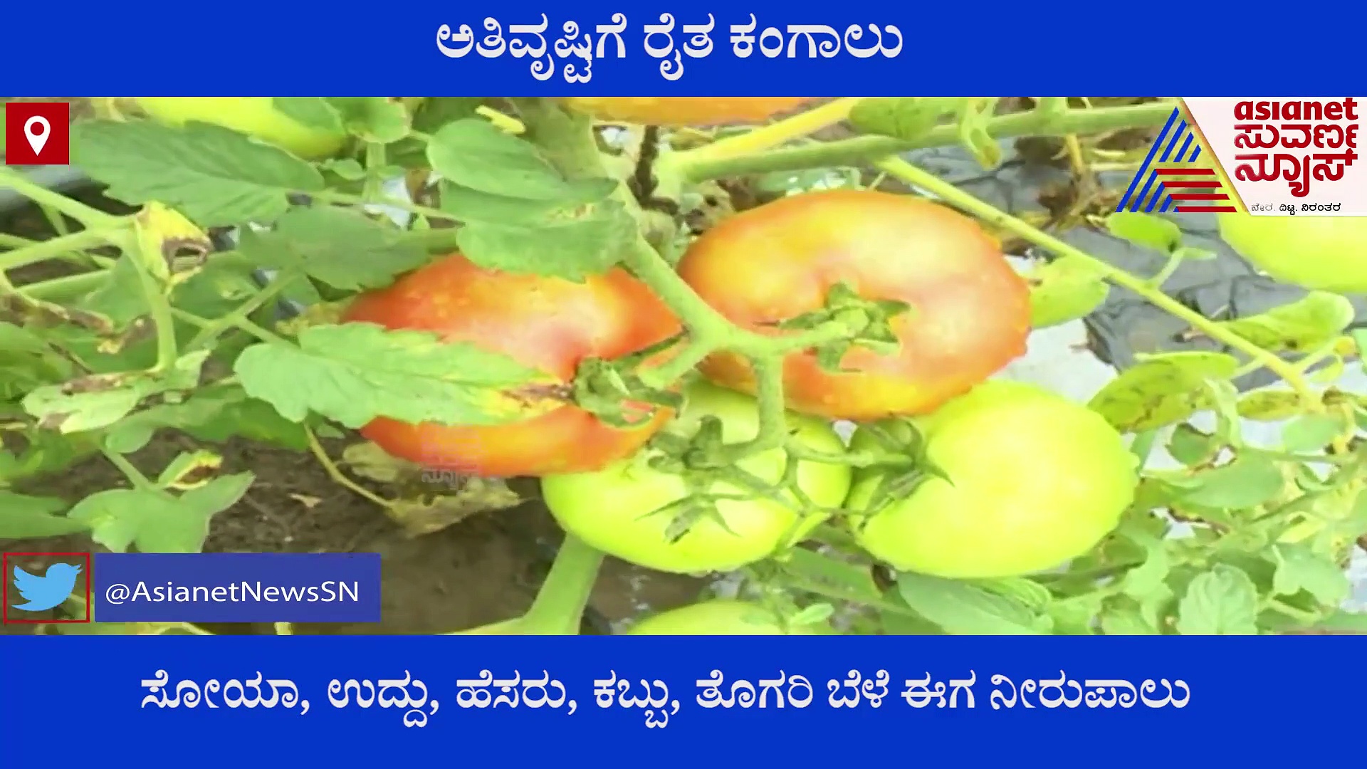 ಬೀದರ್‌ನಲ್ಲಿ ಭಾರೀ ಮಳೆ: ಅತಿವೃಷ್ಟಿಗೆ ರೈತ ಕಂಗಾಲು