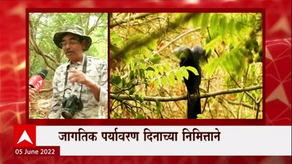 Environment Day Special Report : पावसाचे संकेत कसे ओळखायचे?  जागतिक पर्यावरण दिनानिमित्त खास रिपोर्ट