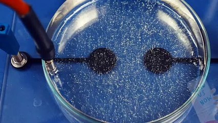 Point charges of the same name - electric field model - an experiment with high voltage