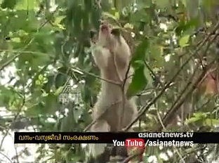 വനം-വന്യജീവി സംരക്ഷണത്തില്‍ രാജ്യത്തിനു മാതൃകയായി കേരളം