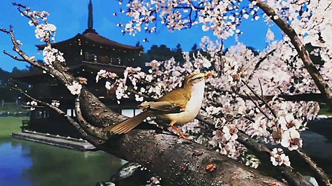 Wii U - Techdemo-Video von der E3 2011