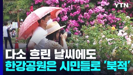 "마스크 벗고 밖으로!" 한강공원·동물원 '북적'...환경의 날 행사도 / YTN