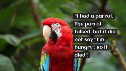 FUNNY QUOTES TO MAKE YOU LAUGH