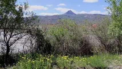 Aras Kuş Cenneti'nde 16 yılda 313 kuş türü kayıt altına alındı