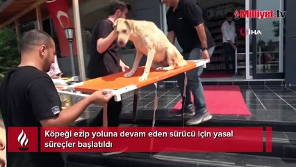 Köpeği ezip yoluna devam eden sürücü için yasal süreçler başlatıldı