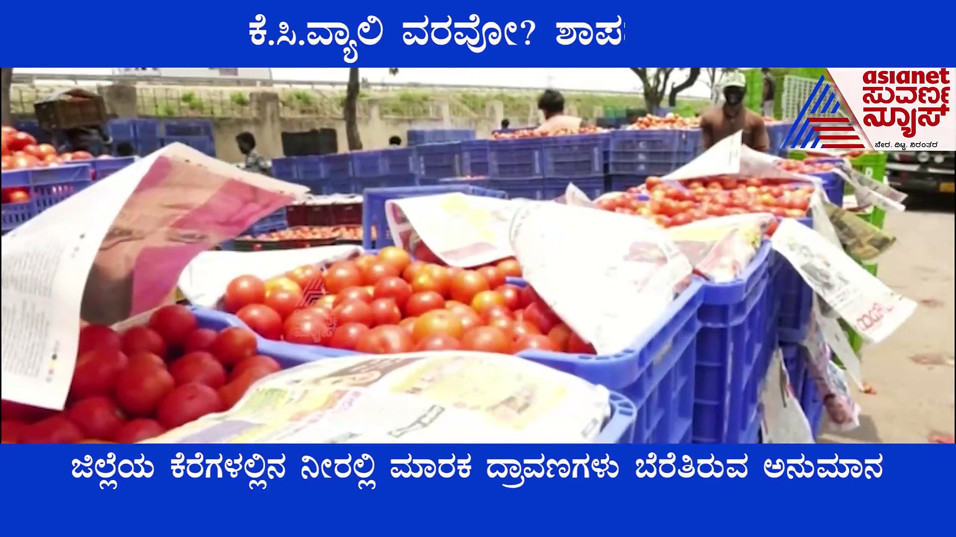 ಕೋಲಾರದ ಹಣ್ಣು ತರಕಾರಿಗಳಿಗೆ ಕುಗ್ಗಿದ ಬೇಡಿಕೆ, ಕೆ.ಸಿ.ವ್ಯಾಲಿ ವರವಲ್ಲ ಶಾಪ ಅಂತಿದ್ದಾರೆ ಕೃಷಿಕರು!