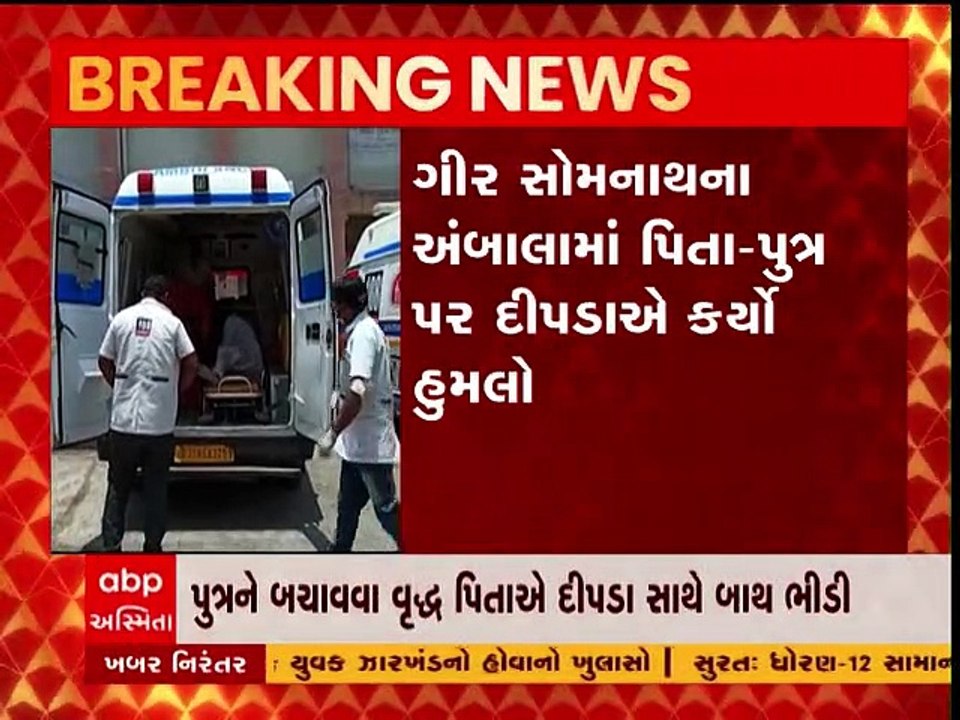 ગીર સોમનાથ: પિતા-પુત્ર પર દીપડાનો હિંસક હુમલો