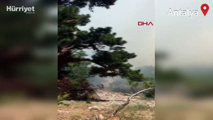 Antalya'daki orman yangını 6 saatte kontrol altına alındı