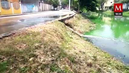 Denuncian ecocidio en Laguna de las Ilusiones de Villahermosa, Tabasco