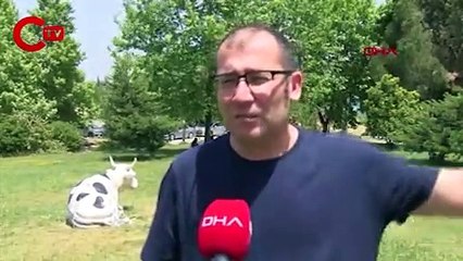 Marmara'ya dökülen Nilüfer Çayı'nın analizinde korkutan sonuç