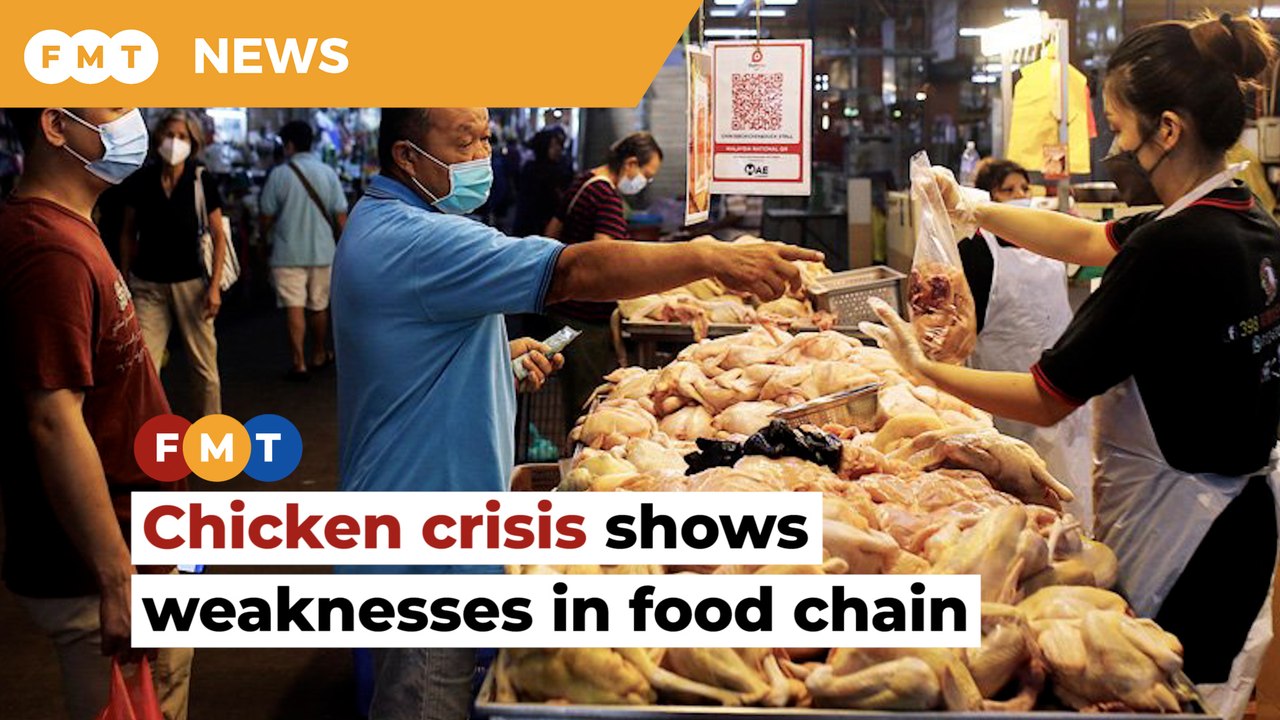 Chicken crisis over in weeks but reforms needed...