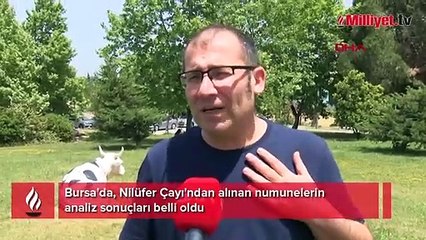 Nilüfer Çayı'ndaki analizde 'en kötü' sonuç