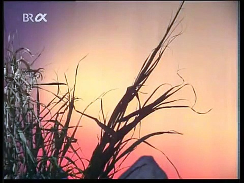 Das Zaubermädchen vom Titicacasee