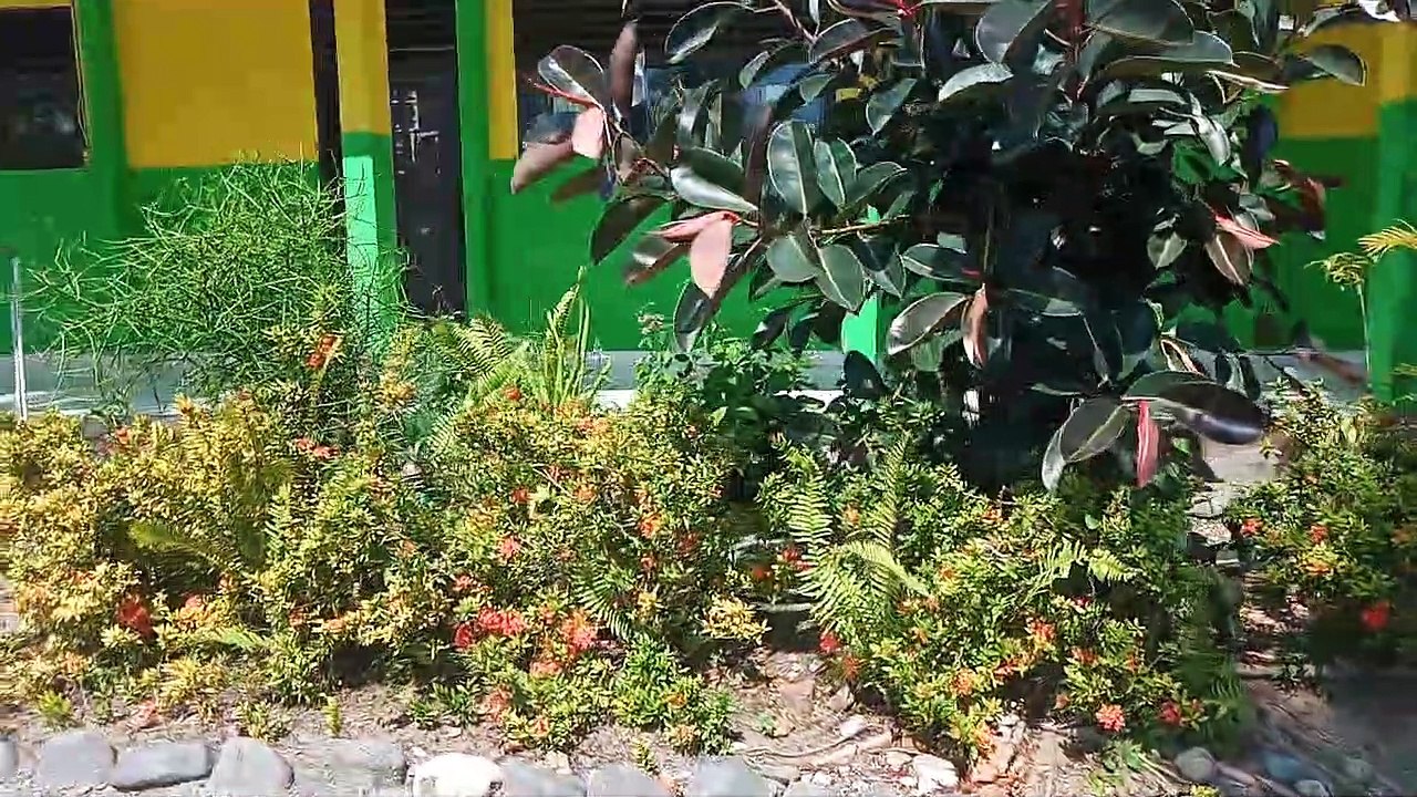 indahnya bunga di halaman sekolah...