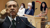 Erdoğan'ın İsveç'ten iadesini istediği siyasetçi Emine Kakabaveh ilk kez konuştu: Ben Türk değilim, iademi isteyemezsiniz