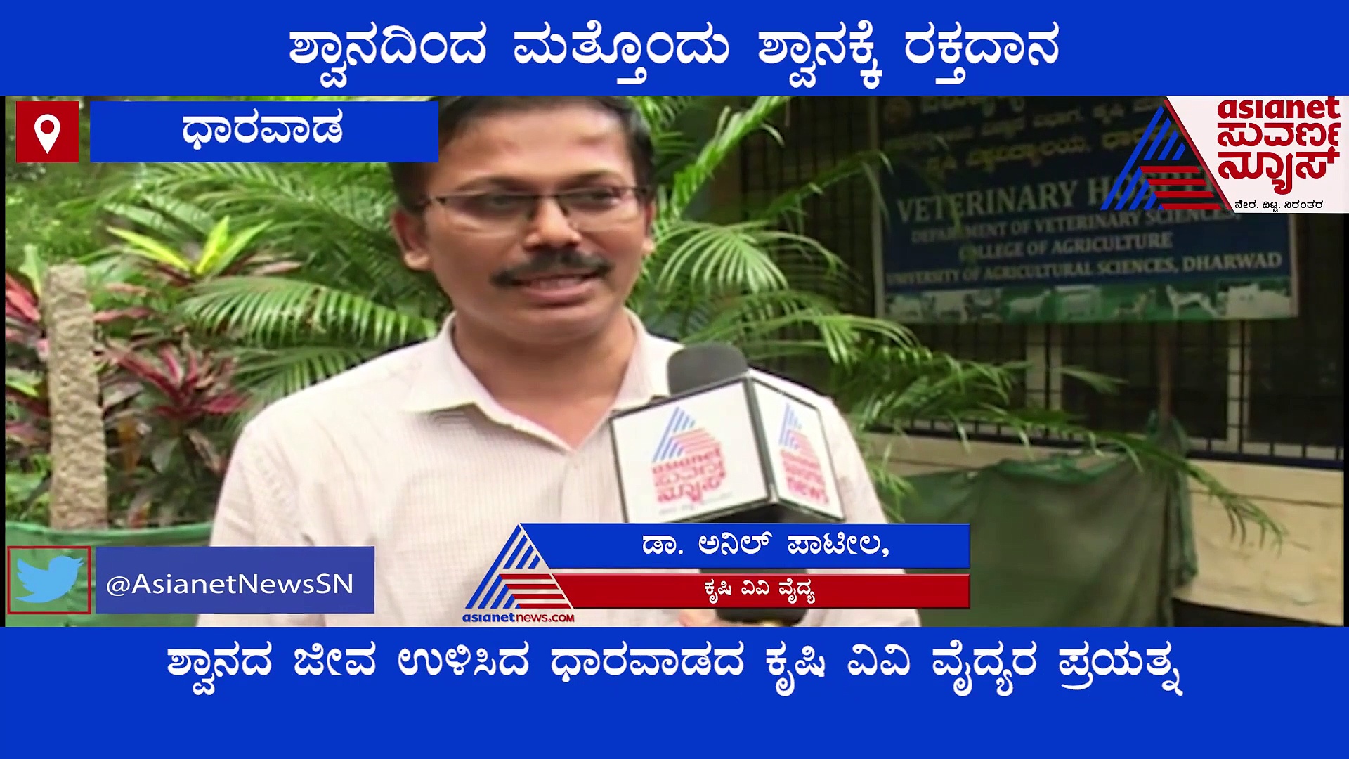 ಧಾರವಾಡ; ರಕ್ತದಾನ-ಮಹಾದಾನ...ರಾಟ್‌ವಿಲ್ಲರ್‌ಗೆ ರಕ್ತ ಕೊಟ್ಟ ಜರ್ಮನ್ ಶೆಫರ್ಡ್ !