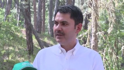 "81 İlde 81 Milyar Adım Çevre Yürüyüşü" Kızılcahamam'dan başladı