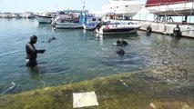 BALIKESİR - Zıpkınla Balık Avı Milli Takımı aday kadrosu denizde temizlik yaptı