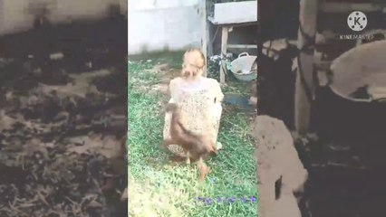 Vidio lucu bikin ngakak