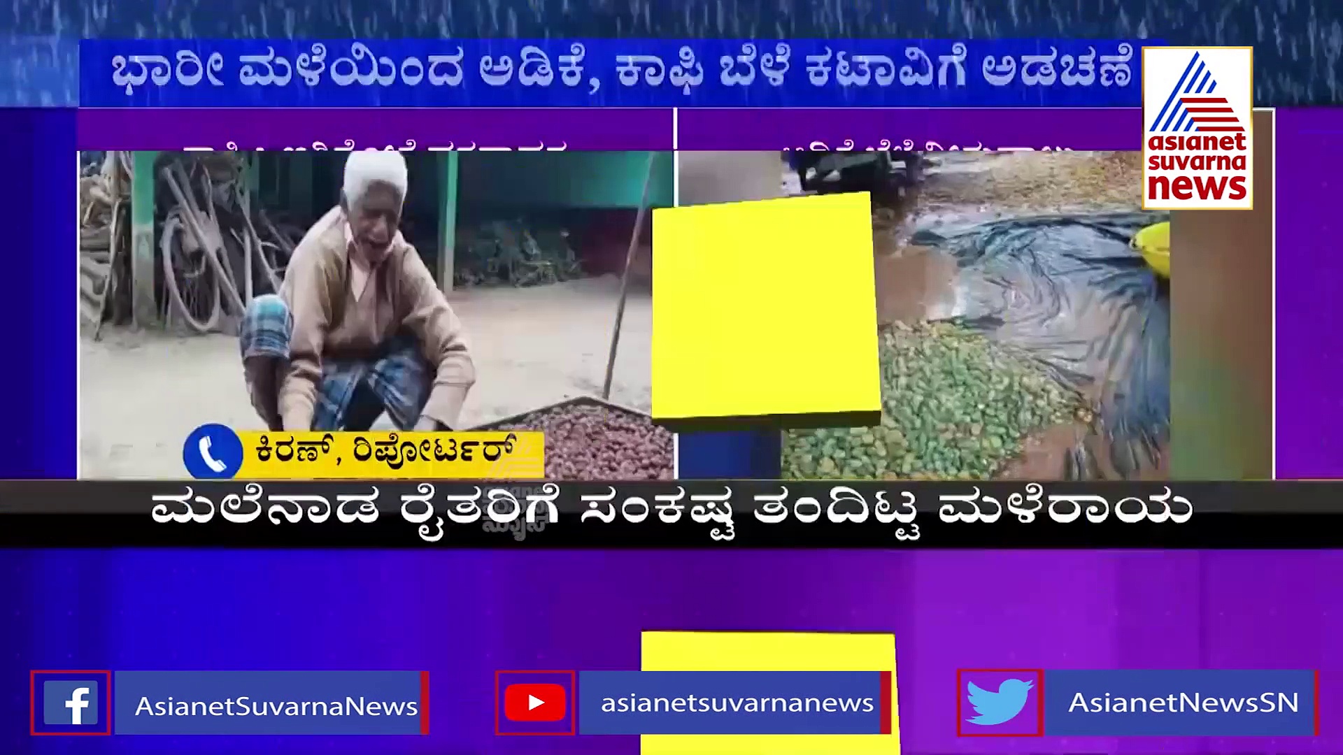 Chikkamagaluru ಮಹಾಮಳೆಗೆ ತತ್ತರಿಸಿದ ಕಾಫಿ ನಾಡು : ಬೆಳೆದ ಬೆಳೆ ನೀರು ಪಾಲು