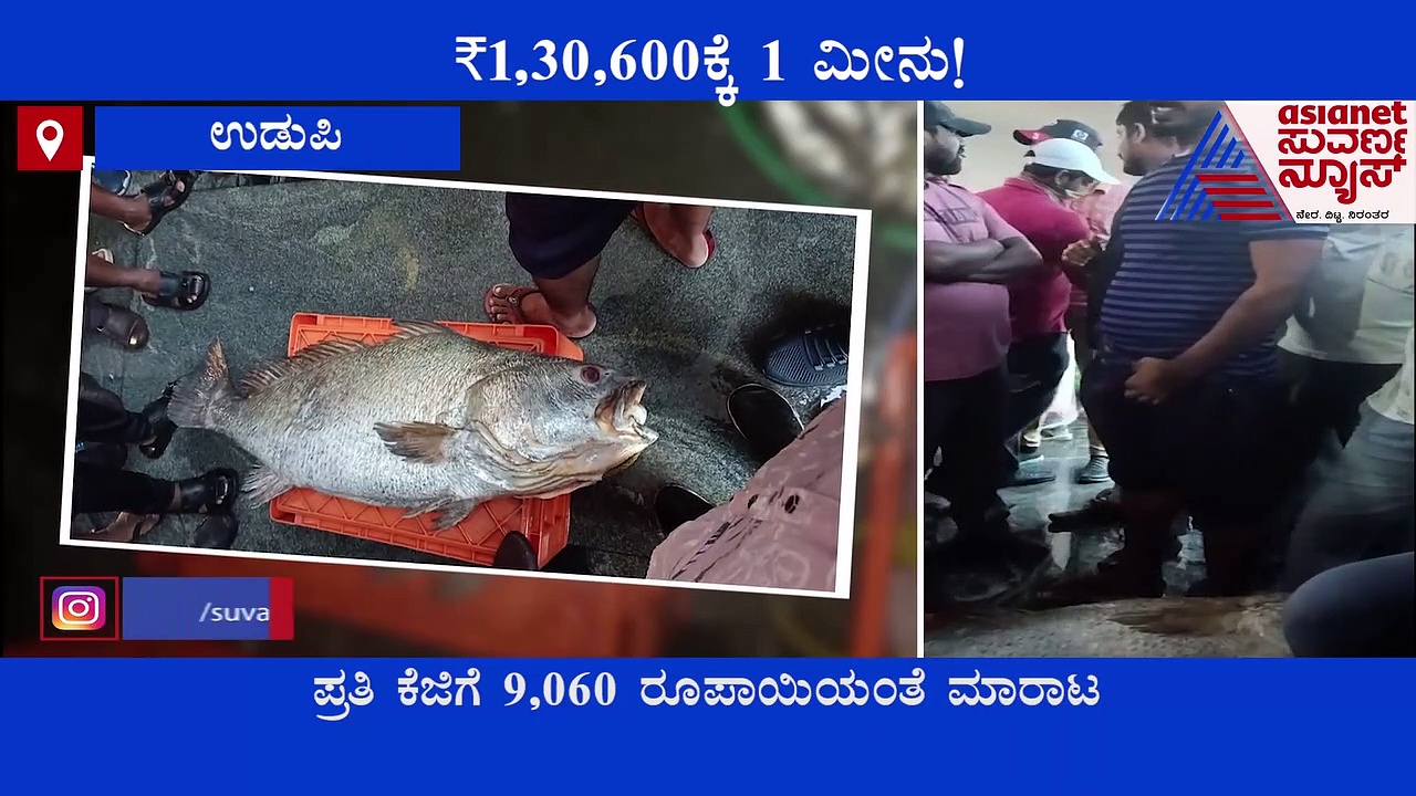 Costly Fish: ಬಲೆಗೆ ಬಿತ್ತು ದುಬಾರಿ ಮೀನು, ಬೆಲೆ ಲಕ್ಷಕ್ಕೂ ಹೆಚ್ಚು, ಟೇಸ್ಟ್ ಸೂಪರ್