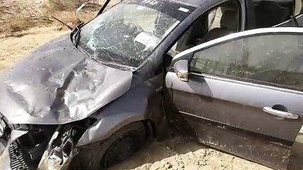 Watch Video: नीलगाय को बचाने के प्रयास में पलटी कार