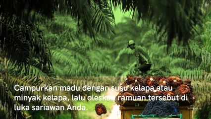 Cara Mengobati Sariawan Secara Dengan Bahan Yang Tersedia Di Rumah